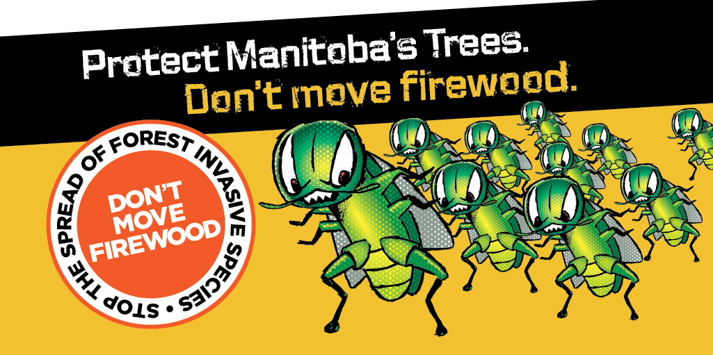 Protect Manitoba's Trees. Don't move firewood